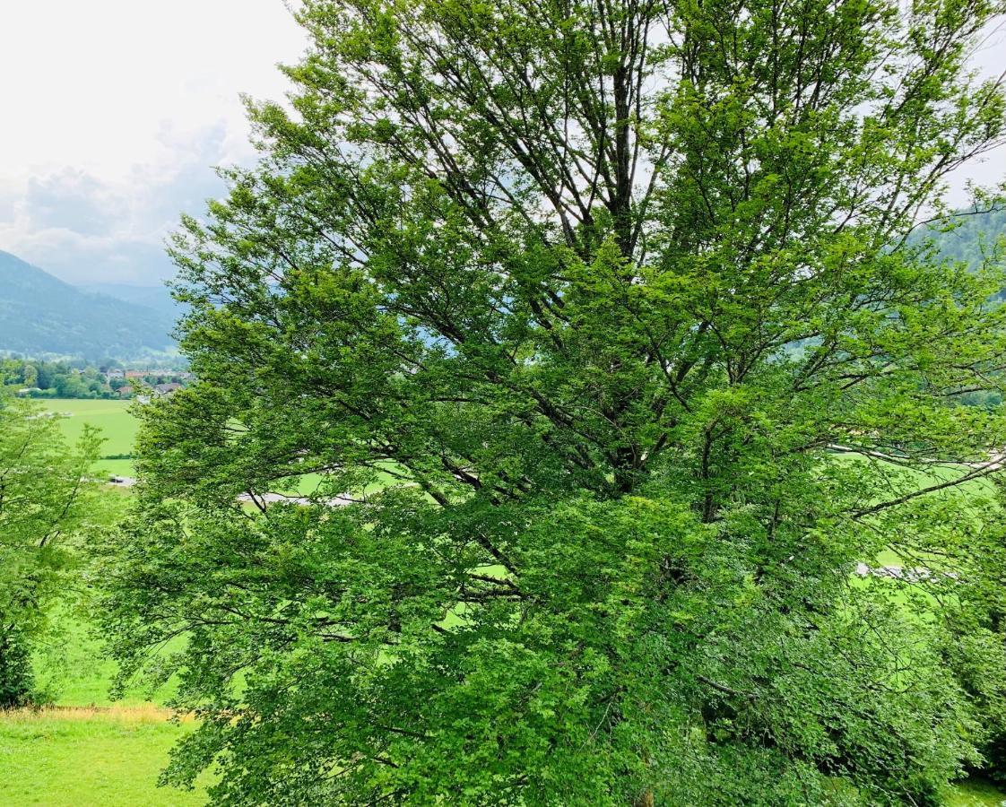Buchenblick Daire Strobl Dış mekan fotoğraf